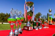 Ein Wettkampftag - ein Dutzend Pokale: beim Finale des Thüringer Feuerwehrcups im Löschangriff nass in Zottelstedt (Thüringen) gab es viel zu gewinnen. Ein Wettkampftag - ein Dutzend Pokale: beim Finale des Thüringer Feuerwehrcups im Löschangriff nass in Zottelstedt (Thüringen) gab es viel zu gewinnen.