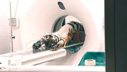 Zoo Berlin: Tigerin Thaya muss ins CT Zoo Berlin: Tigerin Thaya muss ins CT