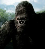 "KING KONG" - Artwork