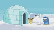 Dog und Puck helfen der frierenden Pinguindame und bauen ihr einen Iglu.