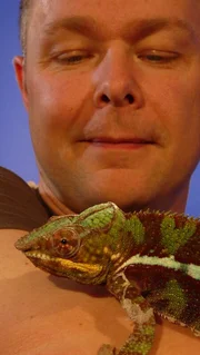 MANCHESTER, ENGLAND: Dr. Phillip Lars Manning examines a Panther Chameleon at Manchester University. MANCHESTER, ENGLAND: Dr. Phillip Lars Manning examines a Panther Chameleon at Manchester University.