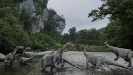 Die Glacialisaurier waren vermutlich die Hauptbeute des Cryolophosaurus. Aber l&auml;ngst nicht jede Jagd ging zu seinen Gunsten aus. Die Glacialisaurier waren gute L&auml;ufer und erreichten im Sprint um die 40 Kilometer pro Stunde.