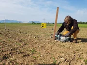 Kiebitzschützerin Katharina Weinberger beim Zaunbau. Kiebitzschützerin Katharina Weinberger beim Zaunbau.