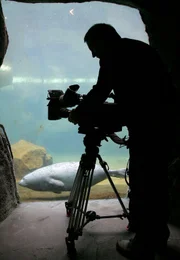 Kameramann Stefan Paul am Seelöwen-Aquarium.