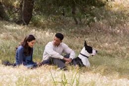 W&auml;hrend Emily (Rosario Dawson) um ihr Leben k&auml;mpft, entsteht zwischen ihr und Ben (Will Smith) eine enge Verbindung. Doch Ben tr&auml;gt ein schweres Schicksal mit sich.