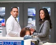 Dr. Marcus Andrews (Hill Harper), Dr. Audrey Lim (Christina Chang)