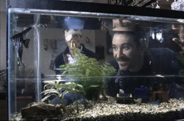 Otto (Kevin Kline, r.) scheut nicht davor zur&uuml;ck, Kens (Michael Palin) geliebte Fische zu essen, um ihm das Versteck der Diamanten zu entlocken.