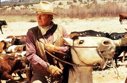 Wil Andersen (John Wayne)