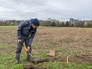 Franz Bender von der Forschungsanstalt Agroscope beim Vergraben zweier Unterhosen.