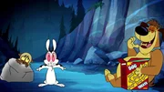 v.li.: Chester, Bunnicula, Harold