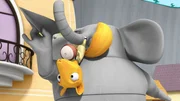 Bernhard entdeckt das wilde Eichhörnchen in sich. Bernhard entdeckt das wilde Eichhörnchen in sich.