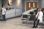 Dr. Maggie Pierce (Kelly McCreary, l.); Dr. Richard Webber (James Pickens jr., r.)