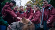 Von links: Max, Mila, Jóra, Jakob, Vivian und Anton mit einem Trampeltier
