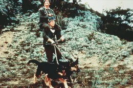 Stanislas Lefort (Louis de Fun&egrave;s, oben) und Augustin Bouvet (Andr&eacute; Bourvil, unten) haben ihre eigene Methode der Fortbewegung ...