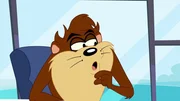 Taz