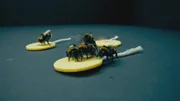 Experimente mit Hummeln deuten darauf hin, dass Insekten kl&uuml;ger und verspielter sind, als wir bisher dachten. Bedeutet das, das auch sie eine Seele haben?