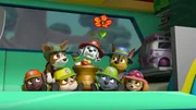 L-R: Zuma, Tracker, Rubble, Marshall, Rocky, Chase, Skye L-R: Zuma, Tracker, Rubble, Marshall, Rocky, Chase, Skye