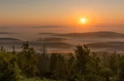 Sonnenaufgang über den Wäldern des Eggegebirges im Süden des Lipperlandes.