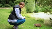 Mitten in Hamburg kommt Anna einem wilden Nutria ganz nah. Der Nager ist Menschen gewohnt, da er regelmäßig gefüttert wird. Mitten in Hamburg kommt Anna einem wilden Nutria ganz nah. Der Nager ist Menschen gewohnt, da er regelmäßig gefüttert wird.