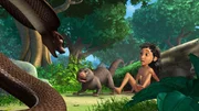 Zum Glück kommt Rikki Tikki Tavi im rechten Augenblick. So kann er Mogli im Kampf gegen die Kobra unterstützen.