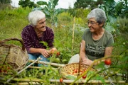 Zu Tisch Zentralportugal Margarida Monteiro und Eduarda Barbosa in ihrem Garten für Permakultur.