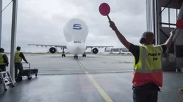 Das Frachtflugzeug Airbus Beluga wird f&uuml;r den Transport von Flugzeugsegmenten eingesetzt.