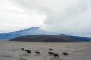 Im gleichnamigen Nationalpark Ecuadors liegt der Eisvulkan Cotopaxi, einer der h&ouml;chstgelegenen aktiven Vulkane der Erde.
