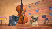 L-R: Bingo, Rolly