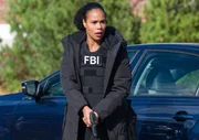 Special Agent Sheryll Barnes (Roxy Sternberg)