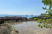 Bahn-Impression in Taiwan zwischen Reisfeld und Pazifik – nur wenige Kilometer verläuft die Bahnstrecke direkt am Meer.