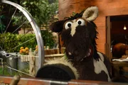 Pferd ist völlig in den Aufbau einer Maschine vertieft