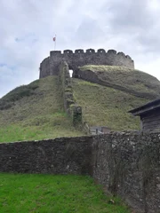 Burg Totnes