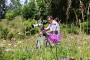 Kameramann Franz Posch in einer Blumenwiese.