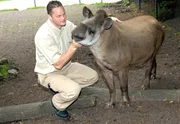 10 Uhr vom NDR im Ersten. Thomas Günther mit Tapir.