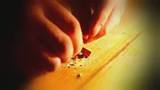 Drogen-Zerkleinerung Drogen-Zerkleinerung