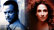 Stella Bonasera (Melina Kanakaredes), Mac Taylor (Gary Sinise)     +++