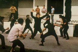 Weil Cheng Li (Bruce Lee) in seinem Heimatdorf keine Arbeit findet, heuert er in Bangkok in einer Eisfabrik an. Schnell stellt sich jedoch heraus, dass der Fabrikbesitzer Mr. Mi das Unternehmen zur Verschleierung seiner Rauschgiftgesch&auml;fte benutzt. Als Cheng und sein Cousin nachforschen, verschwindet letzterer spurlos. Daraufhin nimmt Cheng den Kampf auf.