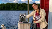 BAYERISCHER RUNDFUNK Anna im Land der tausend Seen Key Visual/Cover Sendereihenbild ohne Typo zu "Anna im Land der tausend Seen". Anna auf ihrem Hausboot im Land der tausend Seen zusammen mit einem Waschbären (Waschbär aus dem Tierpark Kunsterspring).