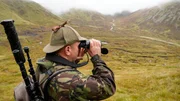 Die Aufforstung der Highlands