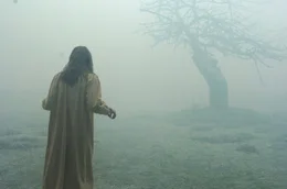 Die Studentin Emily Rose (Jennifer Carpenter) ist nicht mehr Herr ihrer selbst. Immer wieder leidet sie unter Wahnvorstellungen, sieht D&auml;monen und sp&uuml;rt, wie teuflische M&auml;chte die Kontrolle &uuml;ber sie ergreifen.