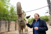 Elefantendame Tefi freut sich über frisches Gemüse von Profikoch Björn Freitag.