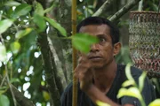 Die Muskatnuss-Ernte auf den indonesischen Gewürzinseln ist das Ziel der Magellan-Expedition. Die Muskatnuss-Ernte auf den indonesischen Gewürzinseln ist das Ziel der Magellan-Expedition.