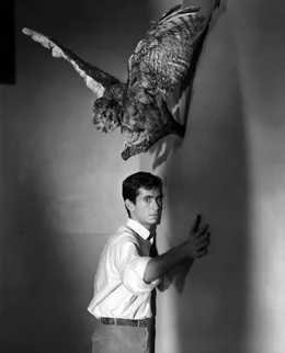 Mit 400.000 Dollar auf der Flucht checkt Marion in einem mysteri&ouml;sen Motel ein. Hier trifft sie auf Norman Bates (Anthony Perkins) - und der Traum vom besseren Leben wird zu einem t&ouml;dlichen Alptraum ...