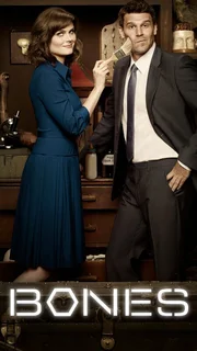 Das Plakatmotiv. Das Plakatmotiv.