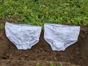 Diese Art von Bio-Baumwoll-Unterhosen wurden über die ganze Schweiz verteilt von über 1000 Laienforschern vergraben.