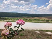 Moldawien / Landschaft