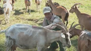 Reiko W&ouml;llert von der Arbeitsgemeinschaft b&auml;uerliche Landwirtschaft k&auml;mpft gegen Landgrabbing durch Gro&szlig;investoren in Ostdeutschland.