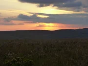 Buschland in der Serra da Canastra. Buschland in der Serra da Canastra.