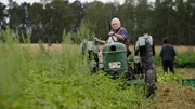 Eckard Tietke bei der Kartoffelernte.