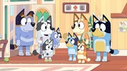 L-R: Uncle Stripe, Aunt Trixie, Muffin, Socks, Bluey, Chilli, Bingo, Bandit